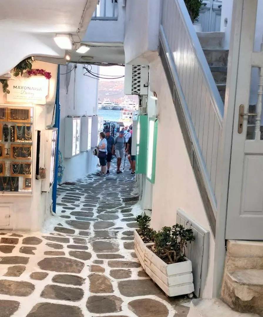 펜션 Mykonos Town To Spitaki The Little House 빌라