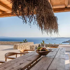  Βίλα Ava Mykonos